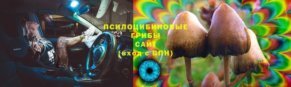 мдпв Вязьма