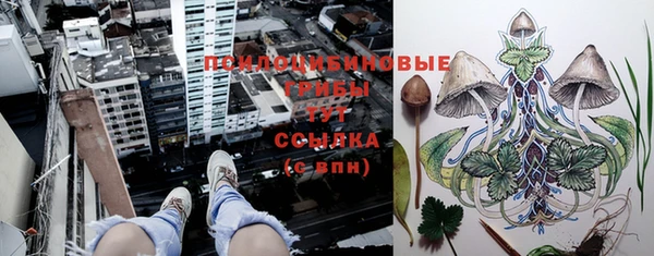 мдпв Вязьма